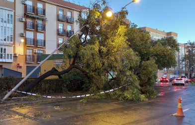 Imagen de los daños de la borrasca Bernard en Andalucía