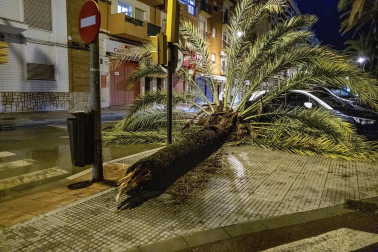 Imagen de los daños de la borrasca Bernard en Andalucía