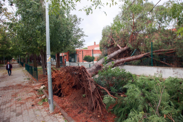 Imagen de los daños de la borrasca Bernard en Andalucía
