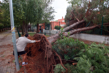 Imagen de los daños de la borrasca Bernard en Andalucía