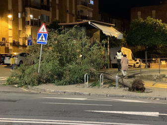 Imagen de los daños de la borrasca Bernard en Andalucía