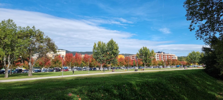 Otoño en la Rotxapea. /