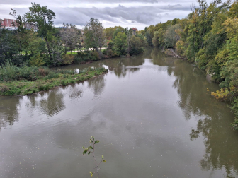 Río Arga a su paso por la Rochapea.