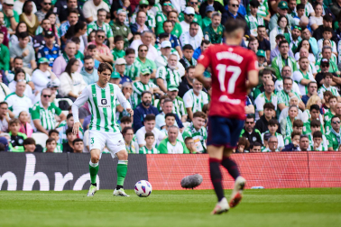 Fotos del Betis 2-1 Osasuna de la jornada 11./