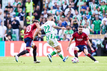 Fotos del Betis 2-1 Osasuna de la jornada 11./