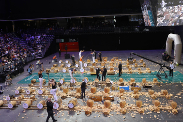 Fotos del campeonato de Aizkora en el Navarra Arena.