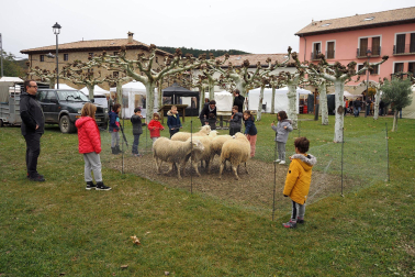 Fotos de las ferias de Urroz-Villa. /
