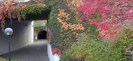 Bonitos colores del otoño, túnel del Plazaola.