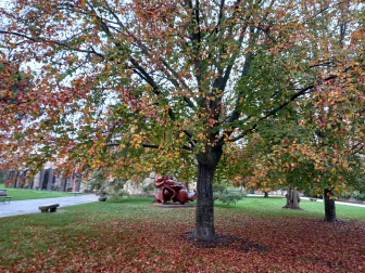 Otoño en la Ciudadela./