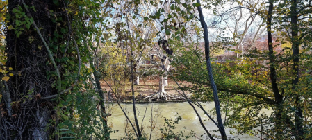 El Arga, a la altura del Camino de los Alemanes.