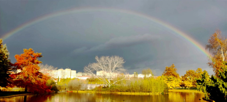 Otoño en el lago de Barañáin./