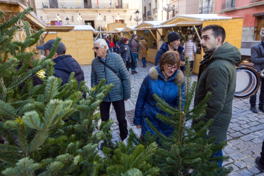 Fotos del mercado de Navidad de Tudela.