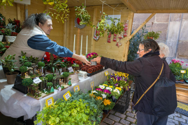Fotos del mercado de Navidad de Tudela.