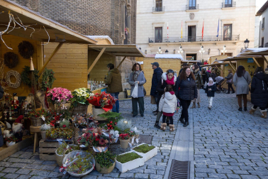 Fotos del mercado de Navidad de Tudela.