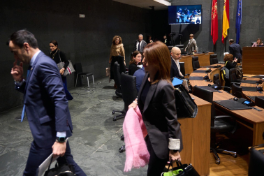 El grupo parlamentario de UPN abandona el Parlamento de Navarra.