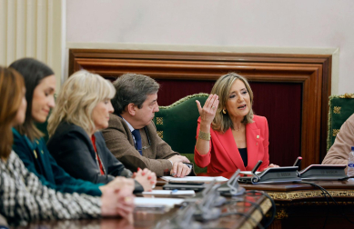Pleno del Ayuntamiento de Pamplona que vota la moción de censura contra Cristina Ibarrola (UPN).