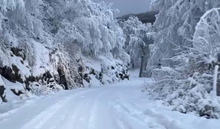 Nieve en la subida a San Miguel de Aralar