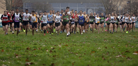 Campeonato Navarro de Cross 2024 en Estella.