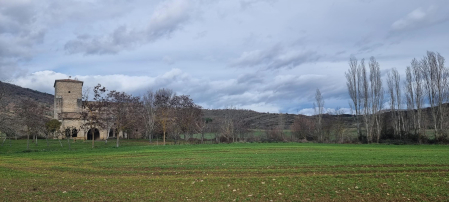 Ballariain