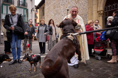 Bendición de animales por San Antón en la iglesia de San Nicolás de Pamplona.