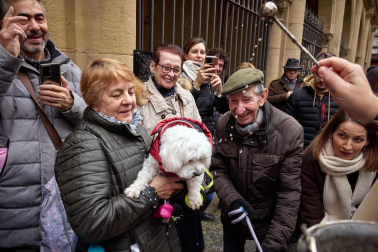 Bendición de animales por San Antón en la iglesia de San Nicolás de Pamplona.