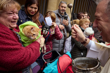Bendición de animales por San Antón en la iglesia de San Nicolás de Pamplona.