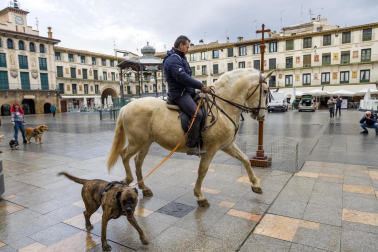 Celebración de la festividad de San Antón en Tudela.