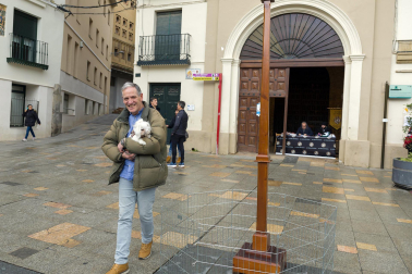 Celebración de la festividad de San Antón en Tudela.