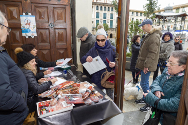 Celebración de la festividad de San Antón en Tudela.