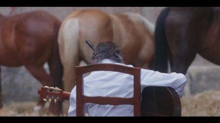 Fotograma de 'De caballos y guitarras' de Pedro G. Romero