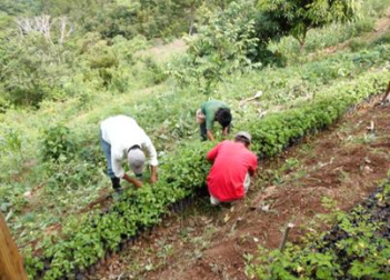 Proyecto ‘DESARROLLO INTEGRAL DE 14 COMUNIDADES CHORTIS EN ORIENTE DE GUATEMALA’. Creación de viveros forestales en Jocotán