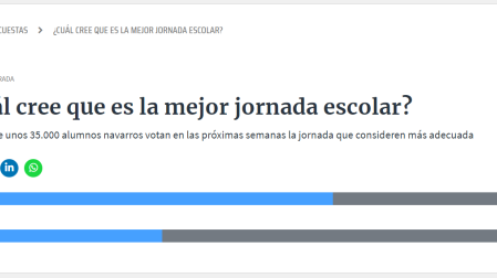 Resultados de la encuesta en www.diariodenavarra.es