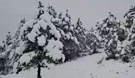 Unos 20 centímetros de nieve a 900 metros en el valle del Roncal