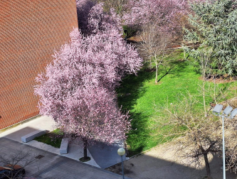 En invierno...Primavera.