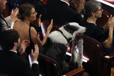 Fotos de la gala de los Oscar 2024. /
