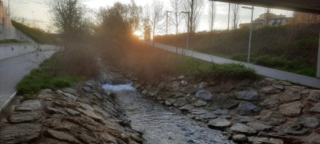 Paseo por los campus de las universidades de Pamplona. /