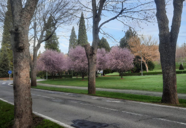 Paseo por los campus de las universidades de Pamplona. /