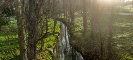 Paseo por los campus de las universidades de Pamplona. /