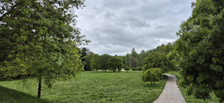 Primavera al oeste de Barañáin.