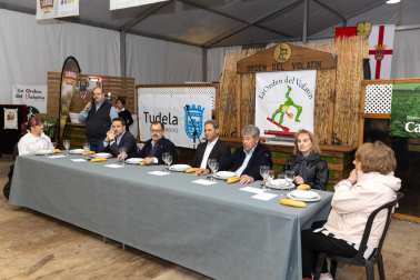 Imágenes de las Fiestas de la Verdura en Tudela