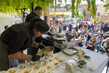 Imágenes de las Fiestas de la Verdura en Tudela