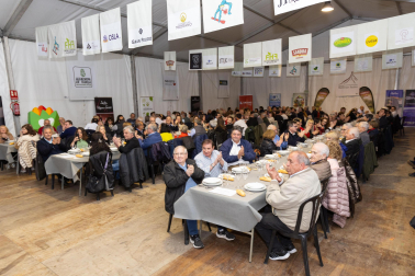 Imágenes de las Fiestas de la Verdura en Tudela