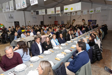 Imágenes de las Fiestas de la Verdura en Tudela