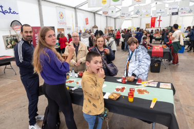 Imágenes de las Fiestas de la Verdura en Tudela