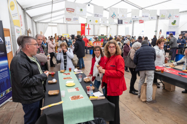 Imágenes de las Fiestas de la Verdura en Tudela