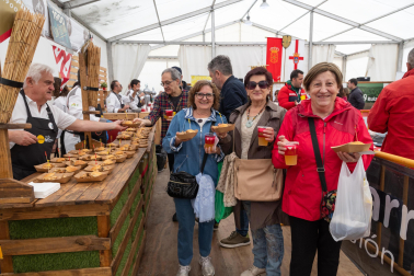Imágenes de las Fiestas de la Verdura en Tudela