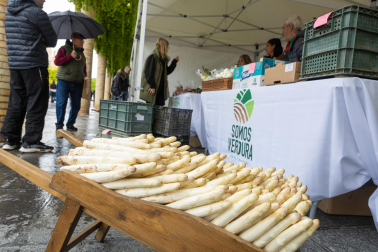 Imágenes de las Fiestas de la Verdura en Tudela