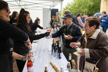 Imágenes de las Fiestas de la Verdura en Tudela