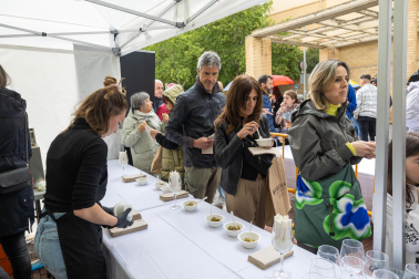 Imágenes de las Fiestas de la Verdura en Tudela