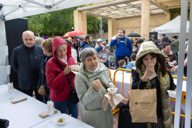 Imágenes de las Fiestas de la Verdura en Tudela